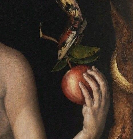 A tempting red apple